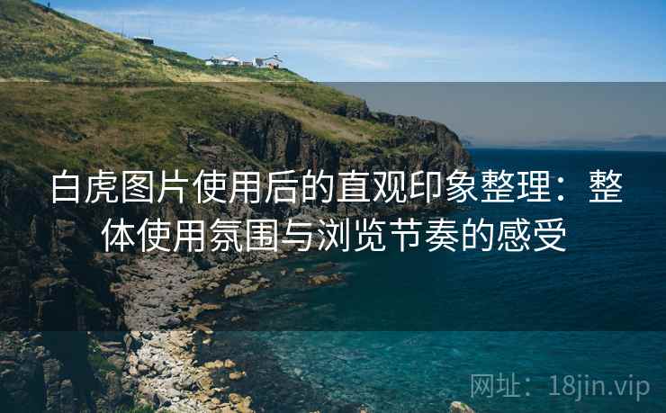 白虎图片使用后的直观印象整理：整体使用氛围与浏览节奏的感受