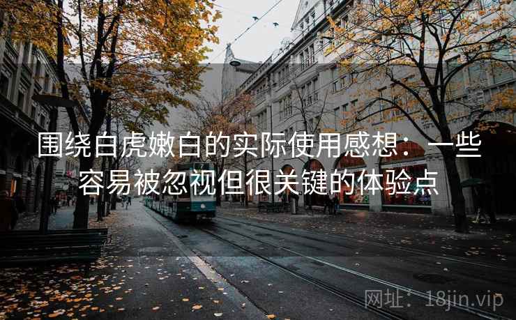 围绕白虎嫩白的实际使用感想：一些容易被忽视但很关键的体验点