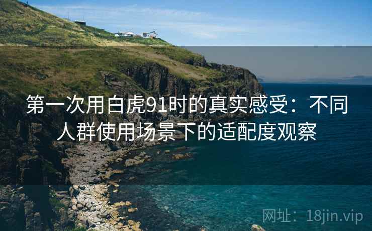 第一次用白虎91时的真实感受：不同人群使用场景下的适配度观察
