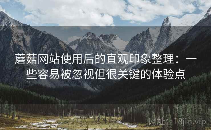 蘑菇网站使用后的直观印象整理：一些容易被忽视但很关键的体验点