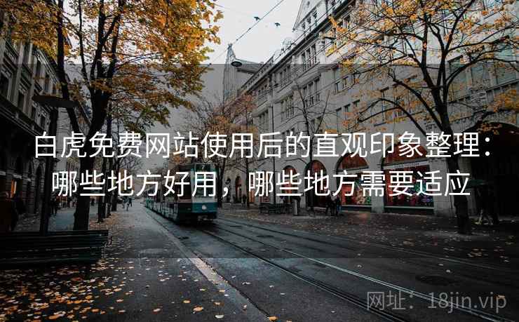 白虎免费网站使用后的直观印象整理：哪些地方好用，哪些地方需要适应