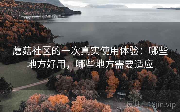 蘑菇社区的一次真实使用体验：哪些地方好用，哪些地方需要适应