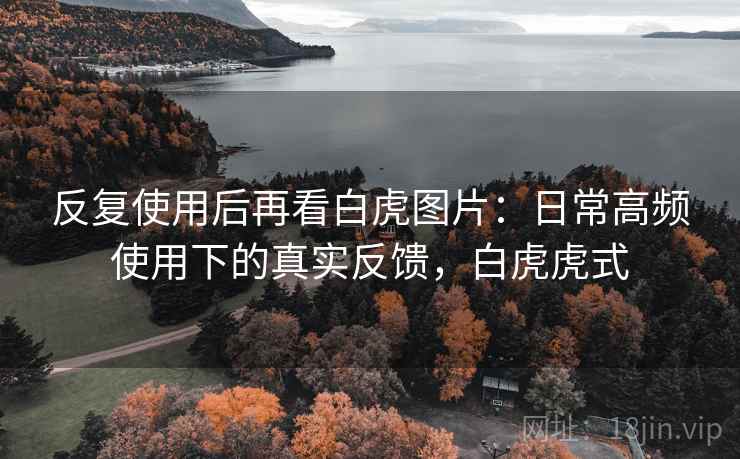 反复使用后再看白虎图片:日常高频使用下的真实反馈,白虎虎式 反复使用后再看白虎图片:日常高频使用下的真实反馈,白虎虎式
