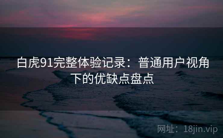 白虎91完整体验记录：普通用户视角下的优缺点盘点