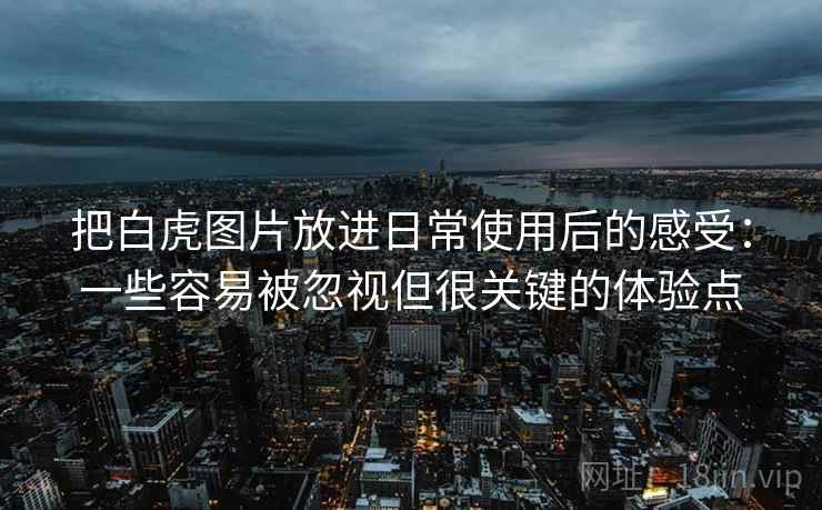 把白虎图片放进日常使用后的感受:一些容易被忽视但很关键的体验点 把白虎图片放进日常使用后的感受:一些容易被忽视但很关键的体验点