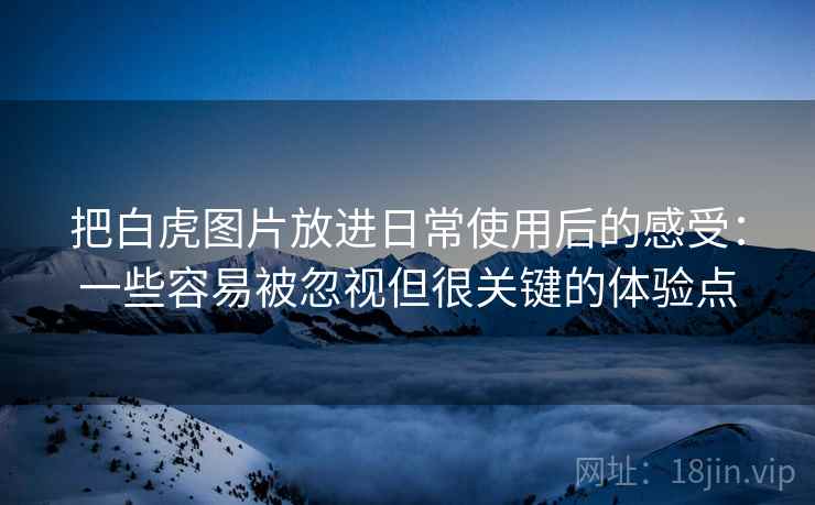 把白虎图片放进日常使用后的感受：一些容易被忽视但很关键的体验点