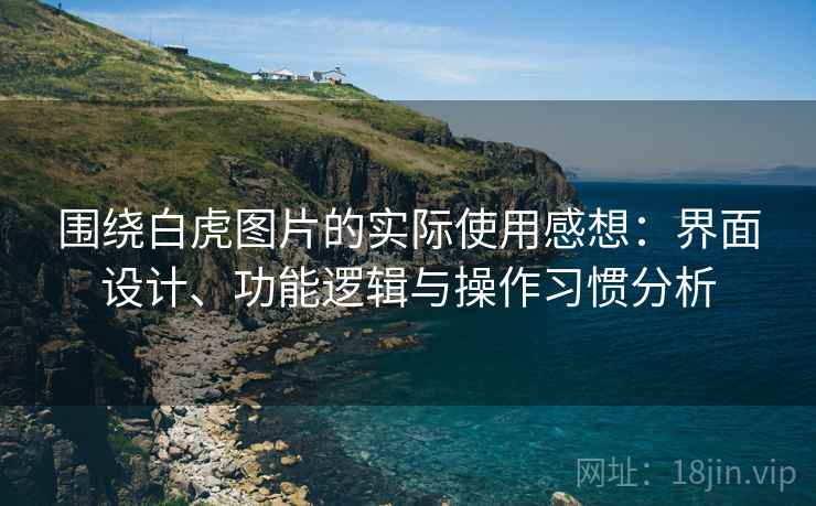 围绕白虎图片的实际使用感想：界面设计、功能逻辑与操作习惯分析