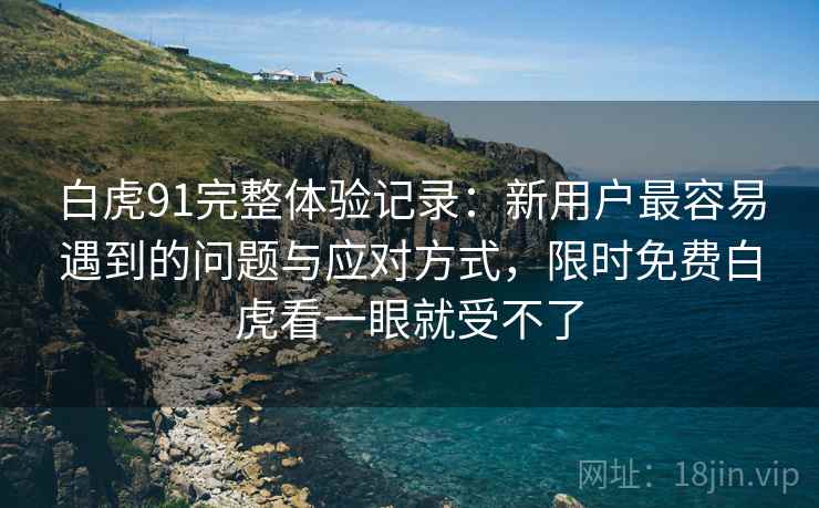 白虎91完整体验记录：新用户最容易遇到的问题与应对方式，限时免费白虎看一眼就受不了