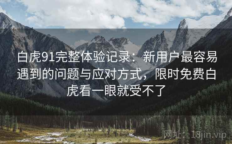 白虎91完整体验记录：新用户最容易遇到的问题与应对方式，限时免费白虎看一眼就受不了