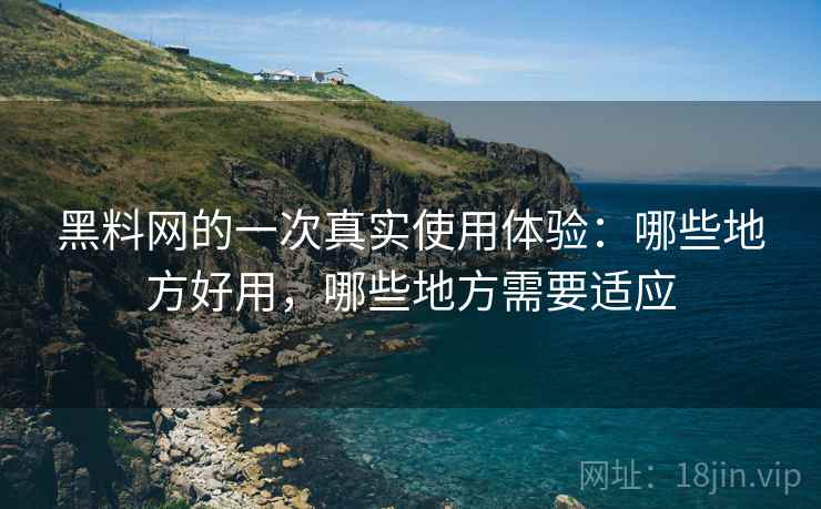 黑料网的一次真实使用体验：哪些地方好用，哪些地方需要适应