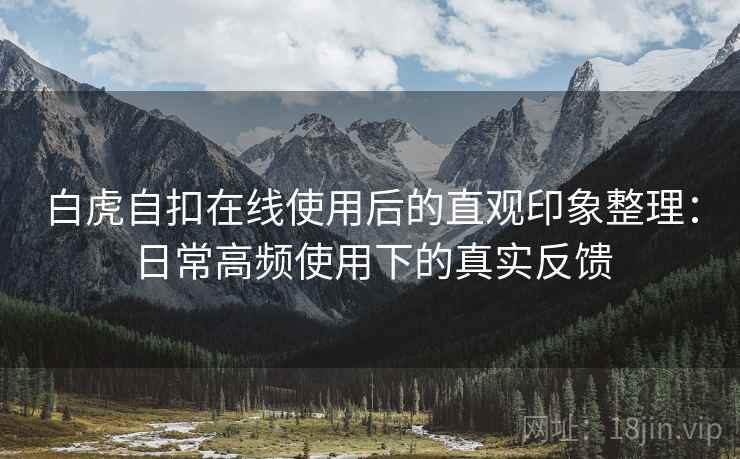 白虎自扣在线使用后的直观印象整理：日常高频使用下的真实反馈