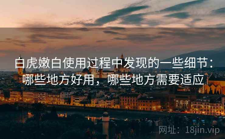 白虎嫩白使用过程中发现的一些细节：哪些地方好用，哪些地方需要适应