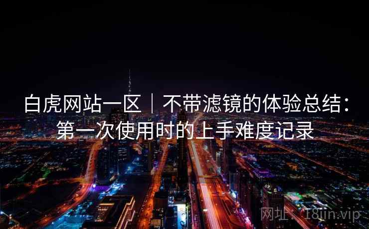 白虎网站一区｜不带滤镜的体验总结：第一次使用时的上手难度记录