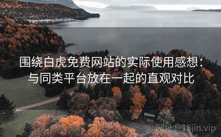 围绕白虎免费网站的实际使用感想：与同类平台放在一起的直观对比