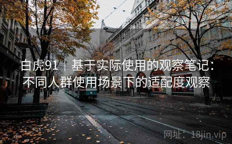 白虎91｜基于实际使用的观察笔记：不同人群使用场景下的适配度观察